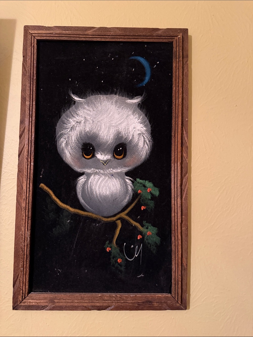 Whimsical White Owl Wall Art Print - Unbranded set of two velvet and wood frames
